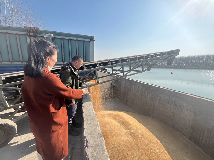 “黨建領航，守護糧安”淮糧集團開展特色品牌黨建活動